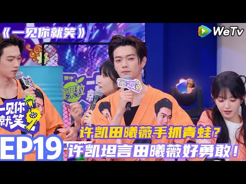 【一见你就笑】EP19-3：许凯田曦薇手抓青蛙？许凯坦言田曦薇好勇敢！#一见你就笑 #许凯 #田曦薇 #李诞#杨迪