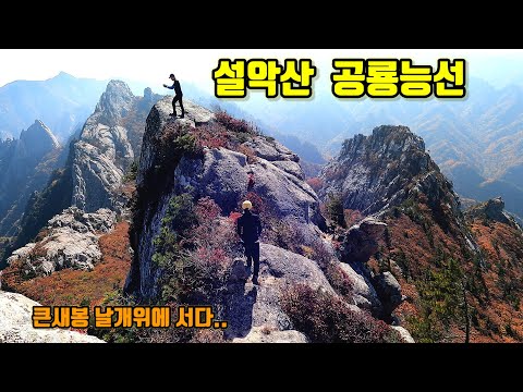 "설악산" 공룡능선  단풍절정/ 큰새봉 날개위에 서다...소공원-공룡능선-천불동계곡....