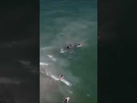 Rip Current Almost Took Him! 🌊