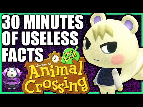 30 minutes of useless information about Animal Crossing: New Leaf (on the 3DS)