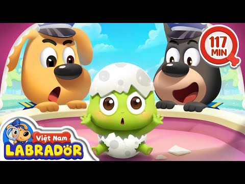 🐣 Hành trình vui nhộn của những quả trứng 🪺 Quả trứng phiêu lưu 👮 Cảnh sát trưởng Labrador Vietnam 🚔