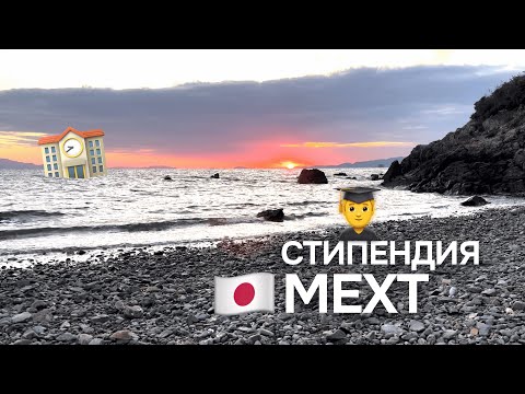 Мой (не) удачный опыт участия в MEXT
