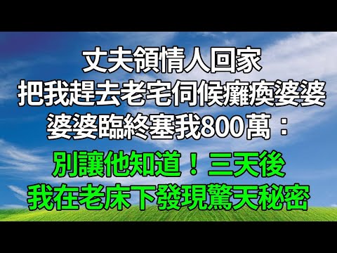 丈夫領情人回家，把我趕去老宅伺候癱瘓婆婆，婆婆臨終塞我800萬：別讓他知道！三天後我在老床下發現驚天秘密！#生活經驗 #人生感悟 #故事分享 #為人處世 #婆媳故事 #打脸