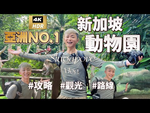 Singapore travel EP. 3 🦥 Singapore zoo It is a paradise for animals | Singapore｜Singapore vlog