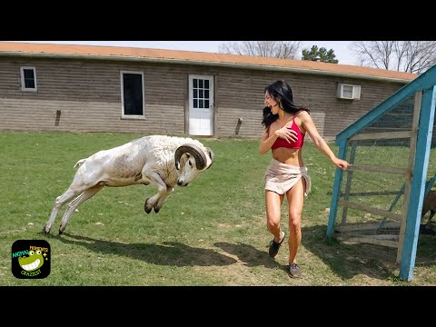 One in a Billion Animal Moments Caught on Camera #20