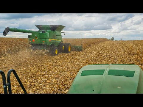 I Know I Shouldn't BUT...