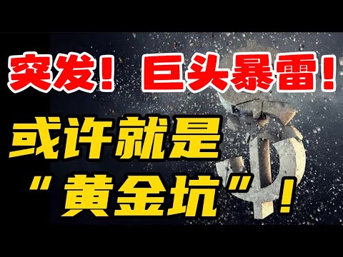 突发！巨头暴雷！或许就是“黄金坑”！