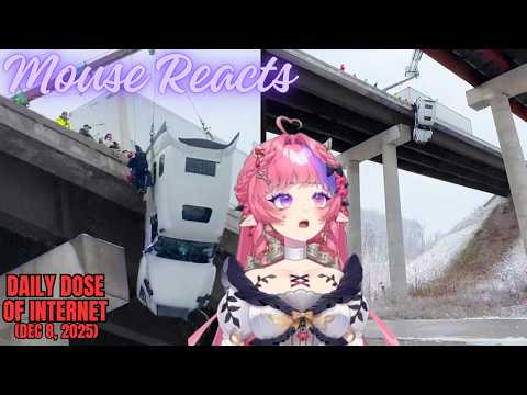 Mouse Reacts to Daily Dose of Internet: Entire City Was Robbed (Dec 8, 2025)