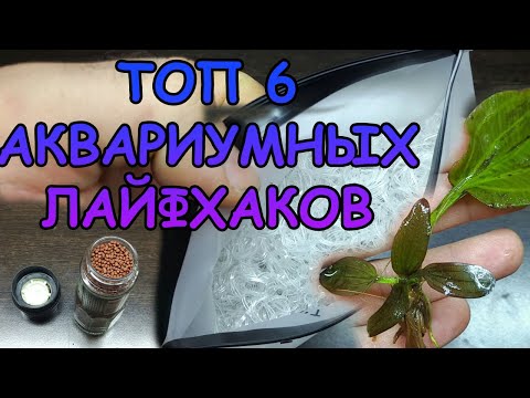 ТОП 6 АКВАРИУМНЫХ ЛАЙФХАКОВ. Часть 5