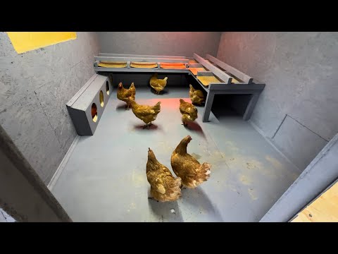 Курятник, птичник, своими руками