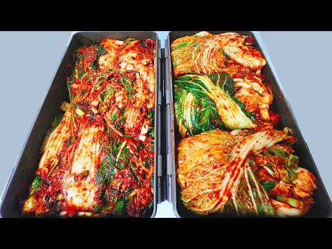 💚2025년 최고의 김장김치 ‘이것’ 넣어 물러지지 않고 변하지 않는 맛! 2년 지나도 맛있어요