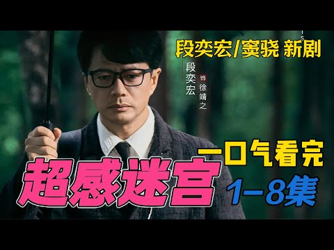 一口气看完《超感迷宫》1-8集 段奕宏窦骁冲破黑暗迷局