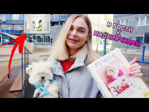 ЕДЕМ В ГОСТИ К ПОДПИСЧИЦАМ С БИЛЛИ И СЛАДЕЙ | ИЩЕМ ДЕВОЧЕК ПО ПРОСЬБЕ КОТА КЕВИНА