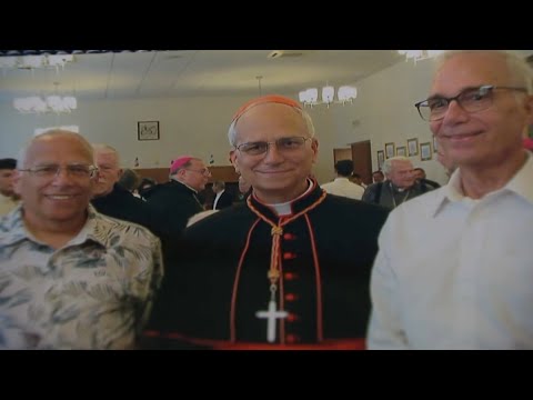 Did Pope Leo cancel a trip to the US? His brother reveals the truth