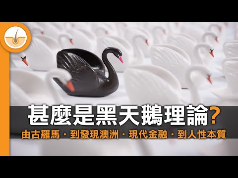 甚麼是黑天鵝理論? 演變得翻天覆地的千年比喻 ! (繁中字幕)