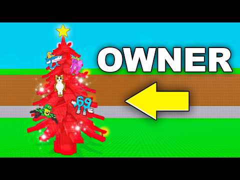 I Got a OWNER Advent Calendar..