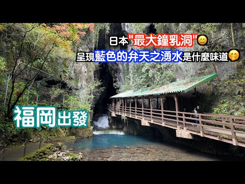 [福岡出發#3]入口已很有霸氣"日本最大嘅鐘乳洞"🥰自制大福😍又品嚐到從地下湧出的弁天水😁一日時間做哂佢🤣日本｜japan｜九州自駕遊｜博多｜福岡自遊行｜福岡自駕遊｜山口｜fukuoka