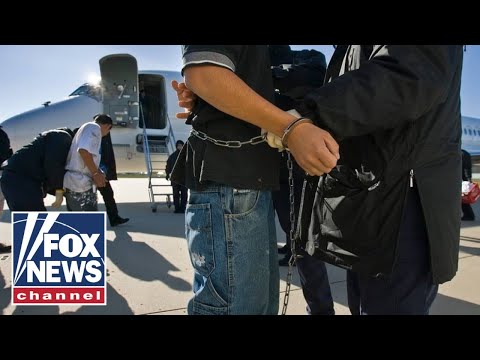 What goes into removing illegal immigrants from the US