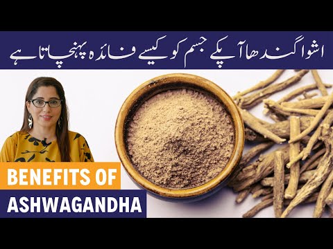Ashwagandha Health Benefits In Urdu - Ashwagandha Ke Fayde - Best Way To Consume Ashwagandha