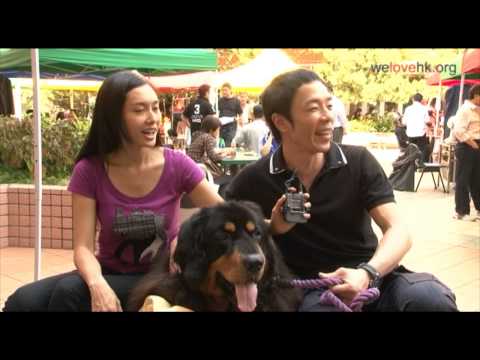 黃貫中與朱茵的養狗心得