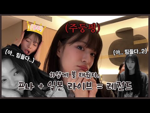 [프로미스나인] 메쪽이 억제기 부서진 날.mp4