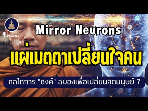 "การแผ่เมตตา" ที่เปลี่ยนใจคนได้จริง I #นะโมพุทธายะ