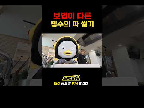 보법이 다른 펭수의 파 썰기