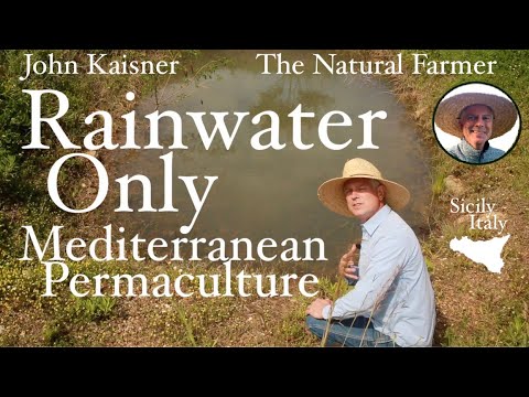 Rainwater Only Mediterranean Permaculture