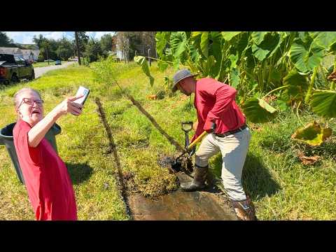 She had NO IDEA there was a SIDEWALK HERE