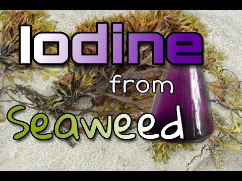 Iodine From Seaweed