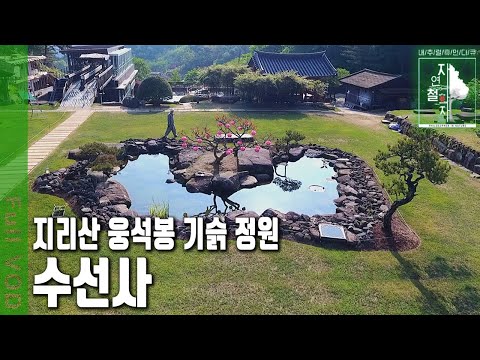 우리나라에서 가장 아름다운 정원을 품은 사찰, 수선사 | 자연의 철학자들 (KBS 20230526 방송)