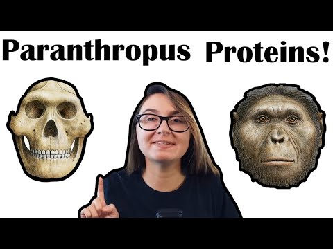Oldest Hominin Genetic Material is now 2 MYA!