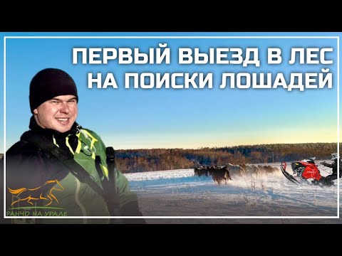 Первое ДТП. Спокойные деньки для нас закончились / Выезжаем на поиски наших Башкирских лошадей