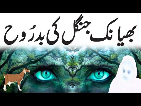 Bhayanak Jungle Ki Badrooh || Urdu Hindi Horror Story