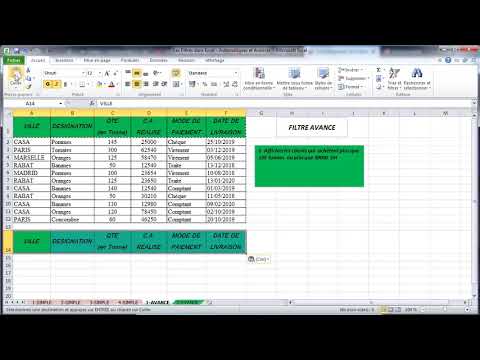 Excel - Les Filtres Automatiques et Avancés