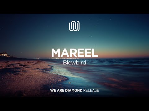 Blewbird - Mareel