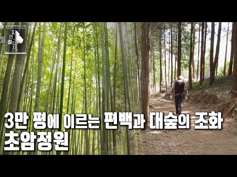 We invite you to the garden of a traditional Korean house, nurtured for over 60 years. A wondrous...