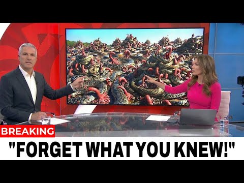 LEAKED Footage From Florida’s Swamps Reveals a Horrifying Aftermath Nobody Saw Coming