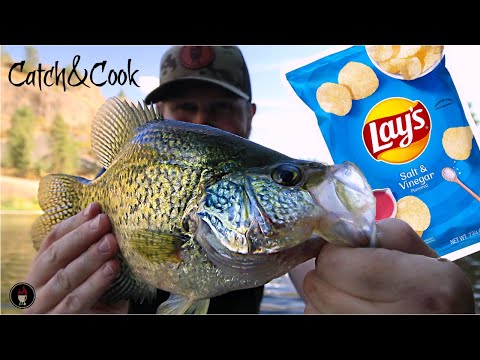 Crappie CATCH & COOK - Salt & Vinegar Potato Chip Crust