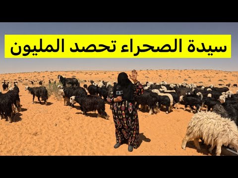 نعيمة السيف سيدة الصحراء تحصد مليون مشاهدة
