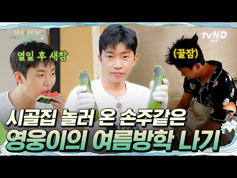 [#삼시세끼Light] 일손 돕고 새참 먹고 꿀잠 자는 임영웅😍 시골집 놀러 온 손주 같은 임영웅의 여름방학 이야기❤
