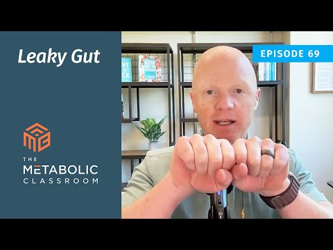 69: Leaky Gut Explained - Dr. Ben Bikman on Gut Health and Inflammation