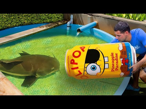 Я поймал прудового монстра в ловушку для рыбы из мультфильма «Губка Боб»…