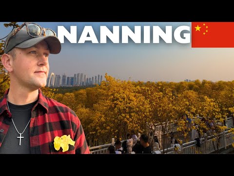 Unforgettable First Day in Nanning, China 🇨🇳