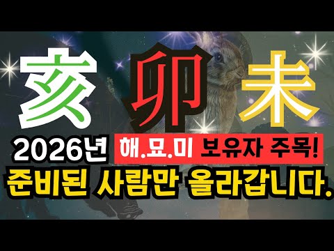 💎내 사주[해수(亥),묘목(卯),미토(未)]가 있다면-2026년 삼재운2년차가  중요하다.