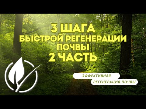 🍇3 Шага к быстрой регенерации почвы Часть 2: Размножение полезных микробов