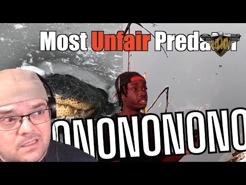 Why This is the Scariest Predator of All Time - Reacting to Casual Geographic - NOPE Edition