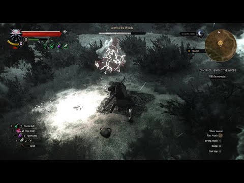 The Witcher 3: Wild Hunt - Jenny O'The Woods