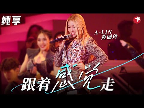 灵魂歌者！A-Lin黄丽玲翻唱苏芮《跟着感觉走》开嗓就得到原唱的掌声！ #不朽之名曲 clip