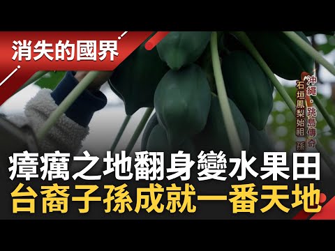 南島熱帶水果皆源自台灣? 瘴癘之地翻身變良田 台移民拓荒石垣島 改變異地水果產業風貌 台裔子孫賣水果成就另一番天地|李文儀主持|【消失的國界PART2】20240318|三立新聞台
